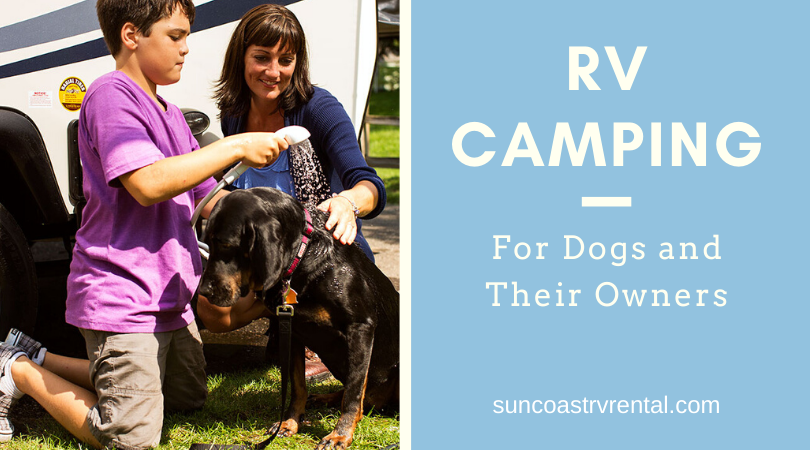 RV Camping For Dogs And Their Owners